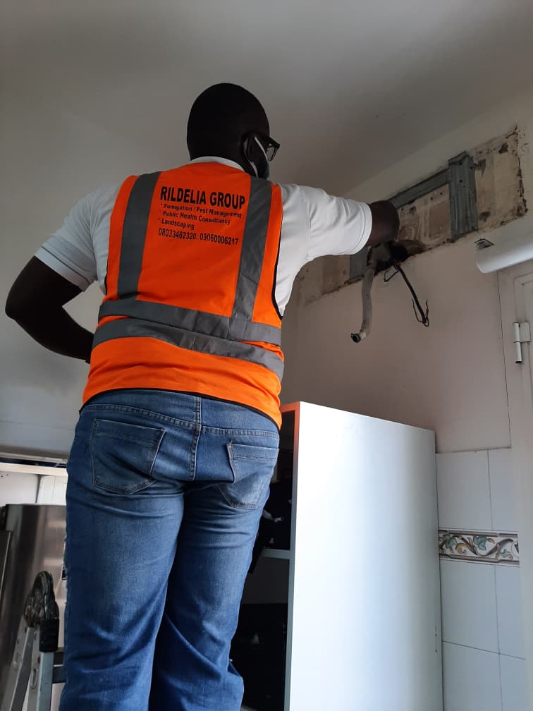 Professional cleaning